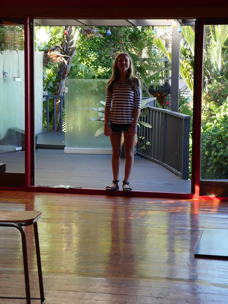 The Fogorellis Go Feral