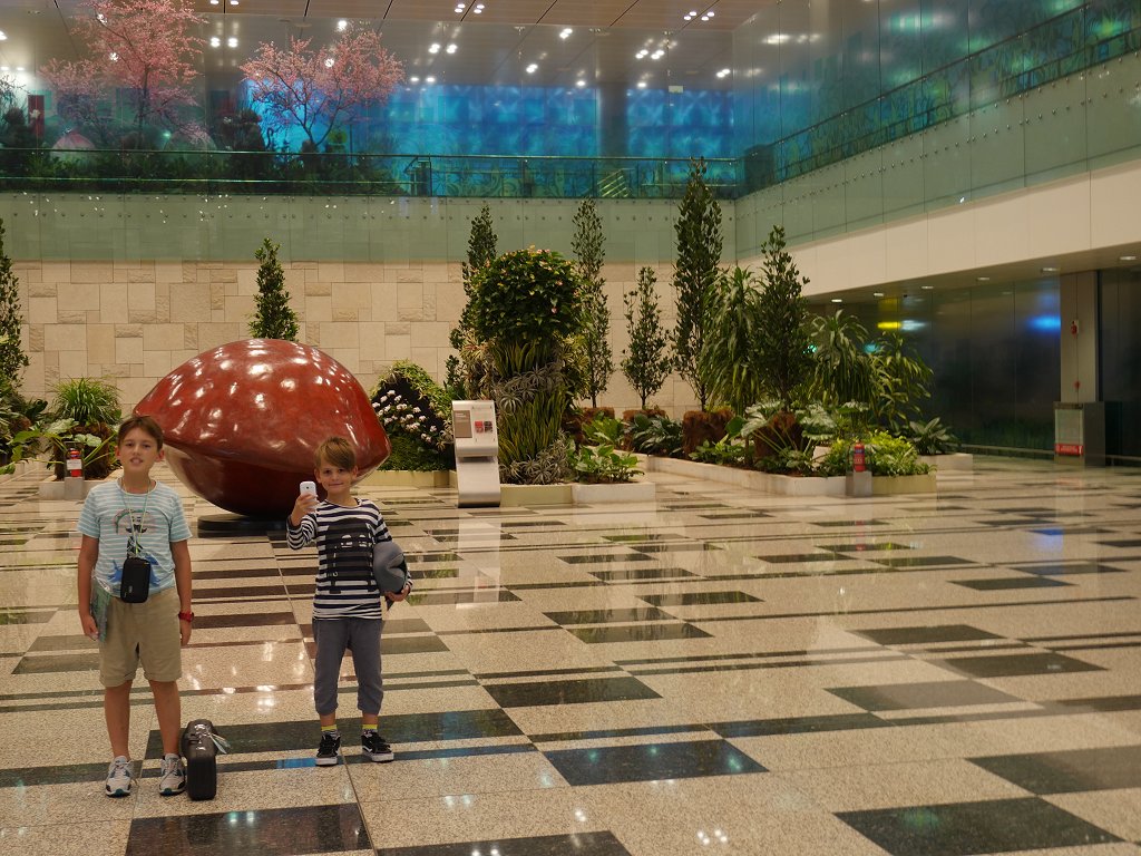 The Fogorellis Go Feral