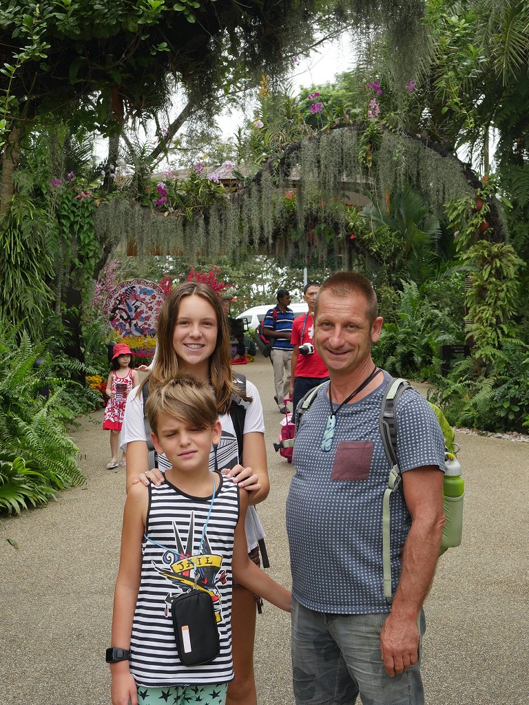 The Fogorellis Go Feral