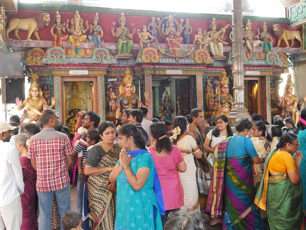 The Fogorellis Go Feral