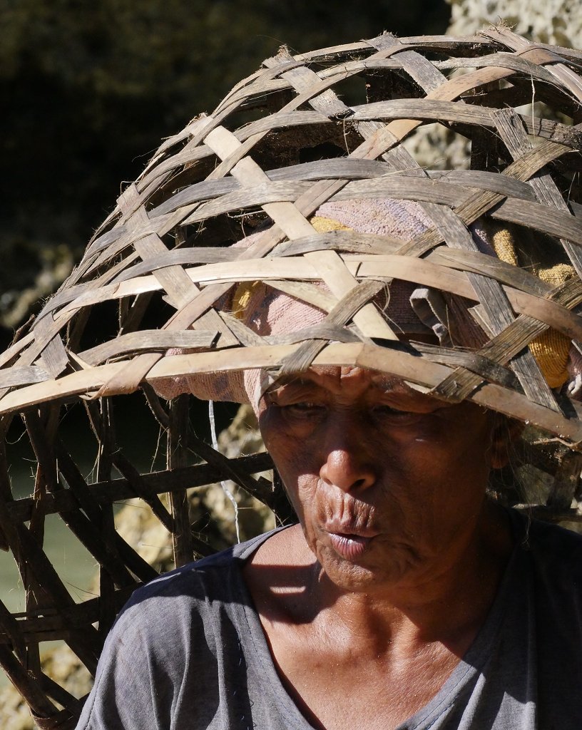 The Fogorellis Go Feral