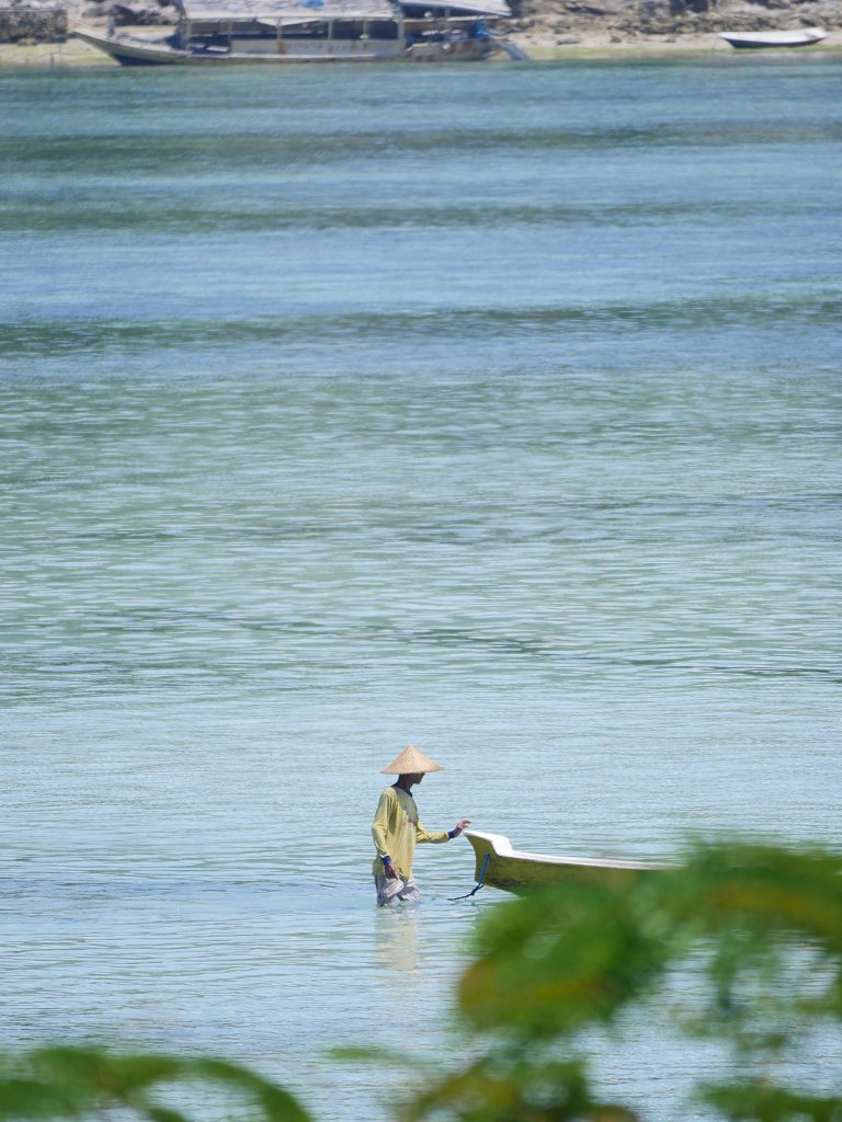 The Fogorellis Go Feral