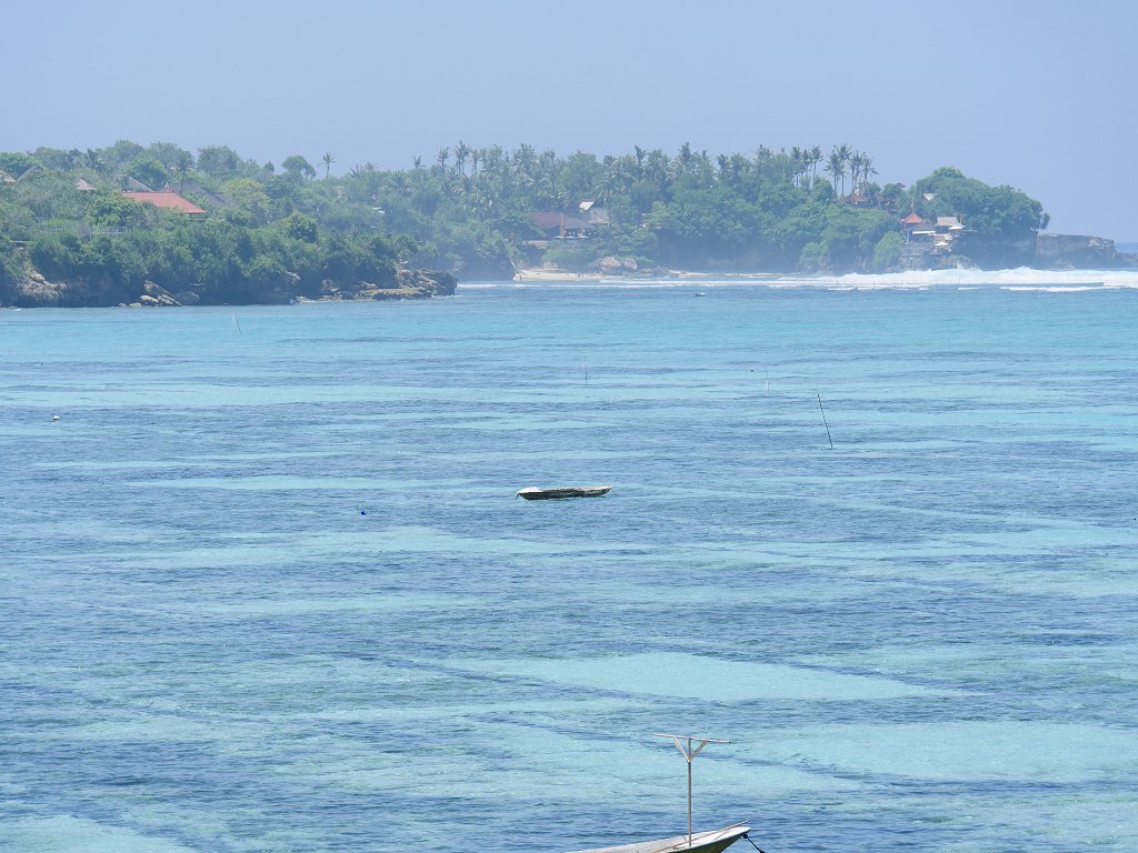 The Fogorellis Go Feral