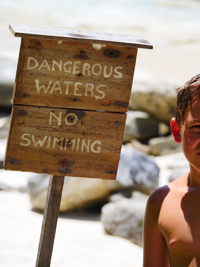 The Fogorellis Go Feral