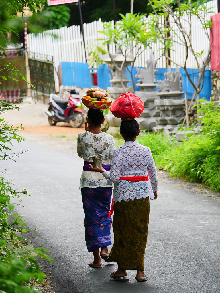 The Fogorellis Go Feral