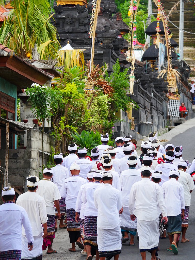 The Fogorellis Go Feral