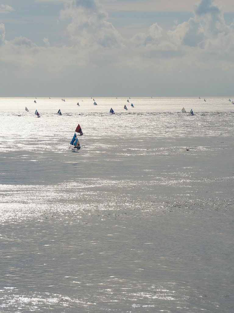 The Fogorellis Go Feral