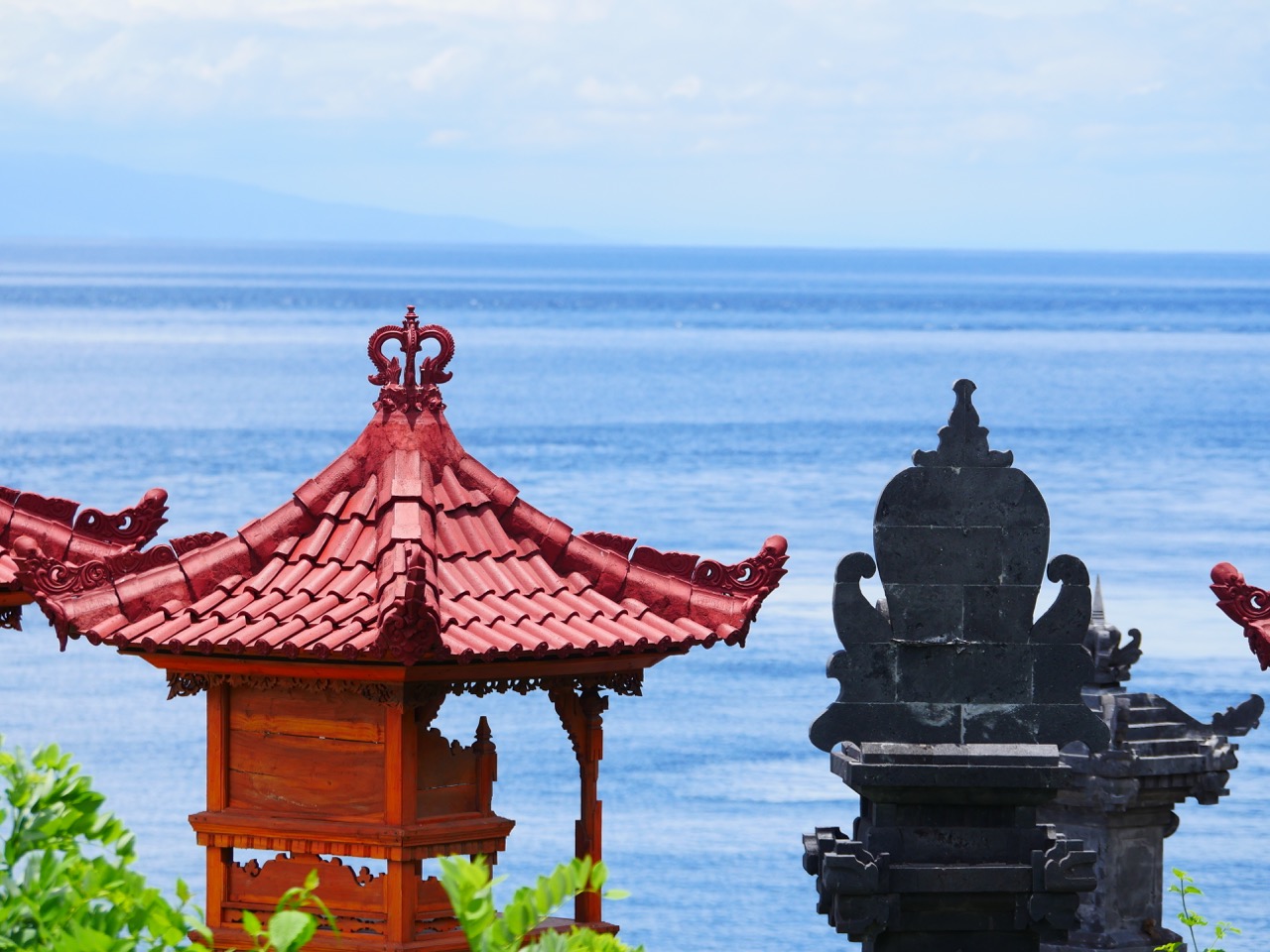 The Fogorellis Go Feral