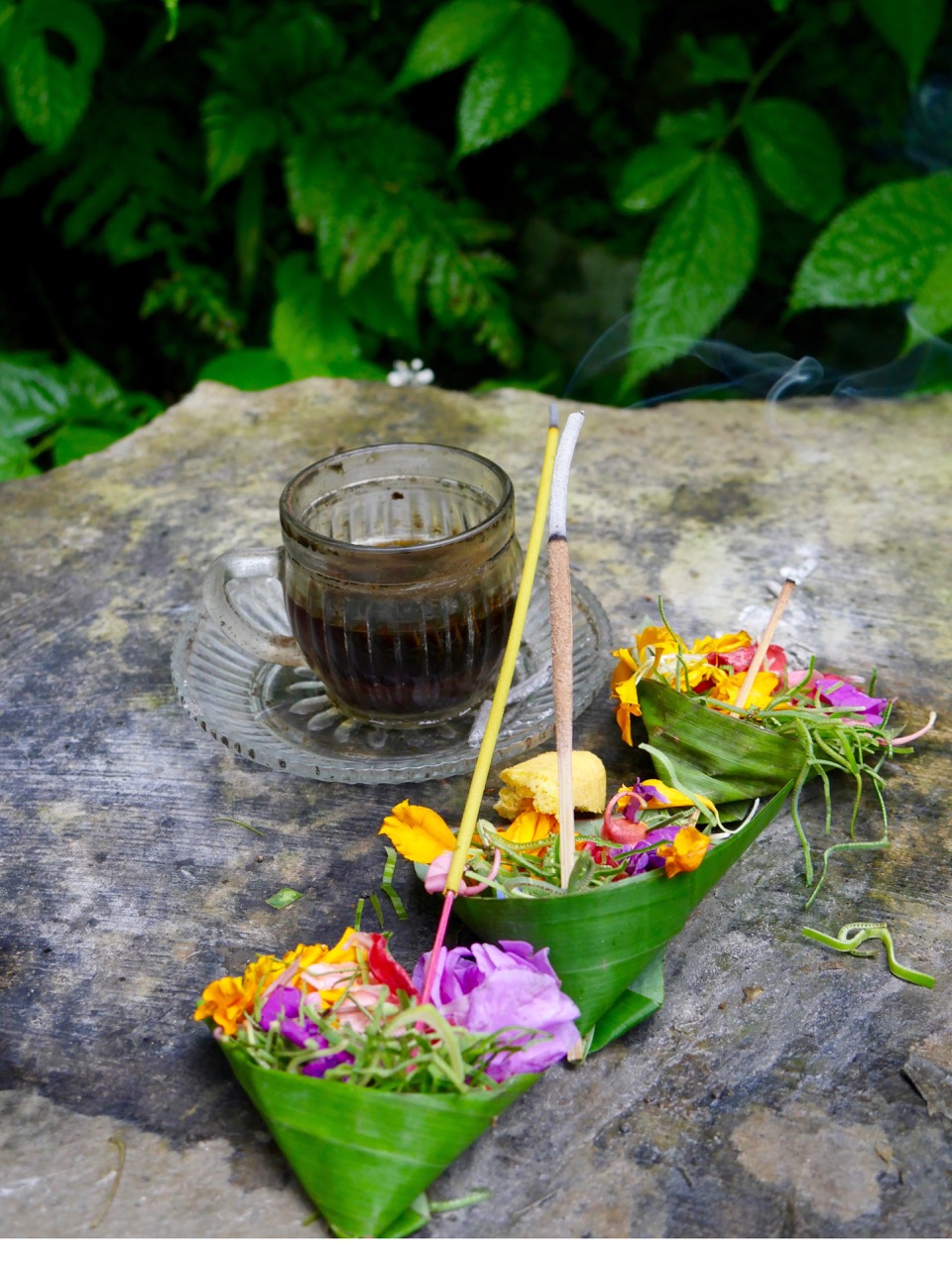 The Fogorellis Go Feral