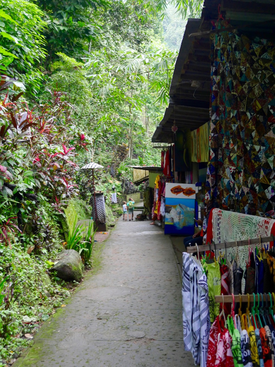 The Fogorellis Go Feral