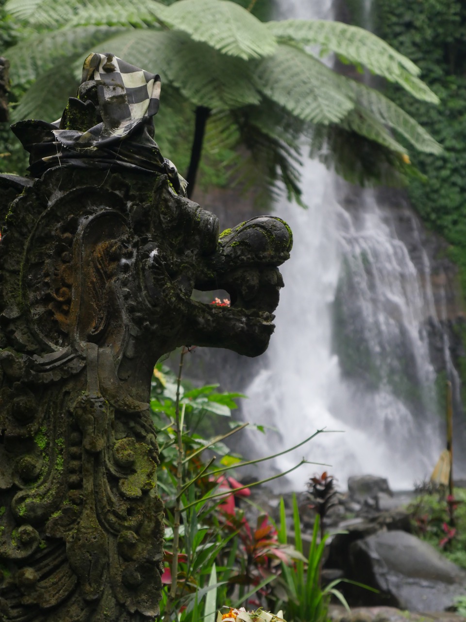 The Fogorellis Go Feral