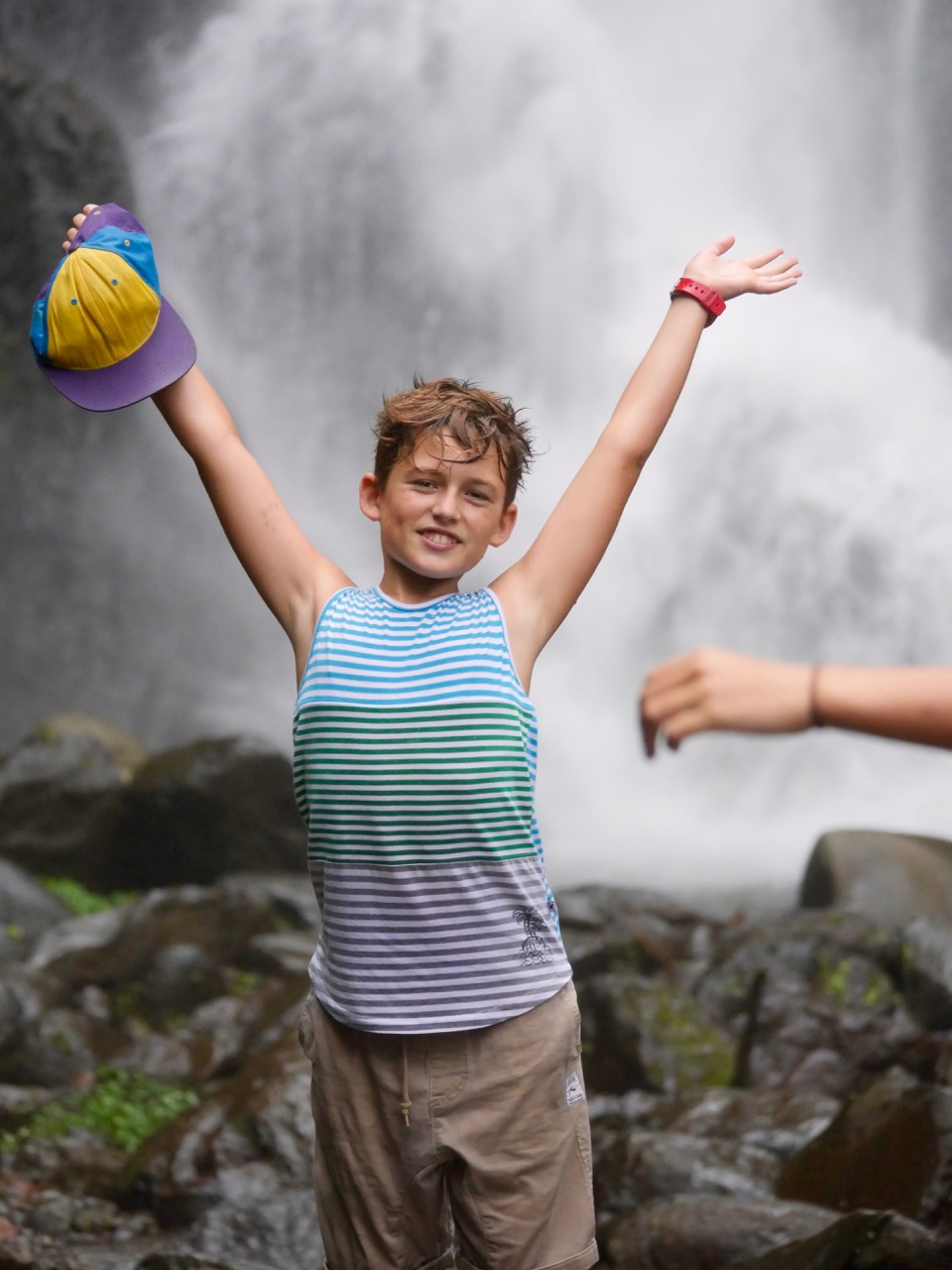 The Fogorellis Go Feral