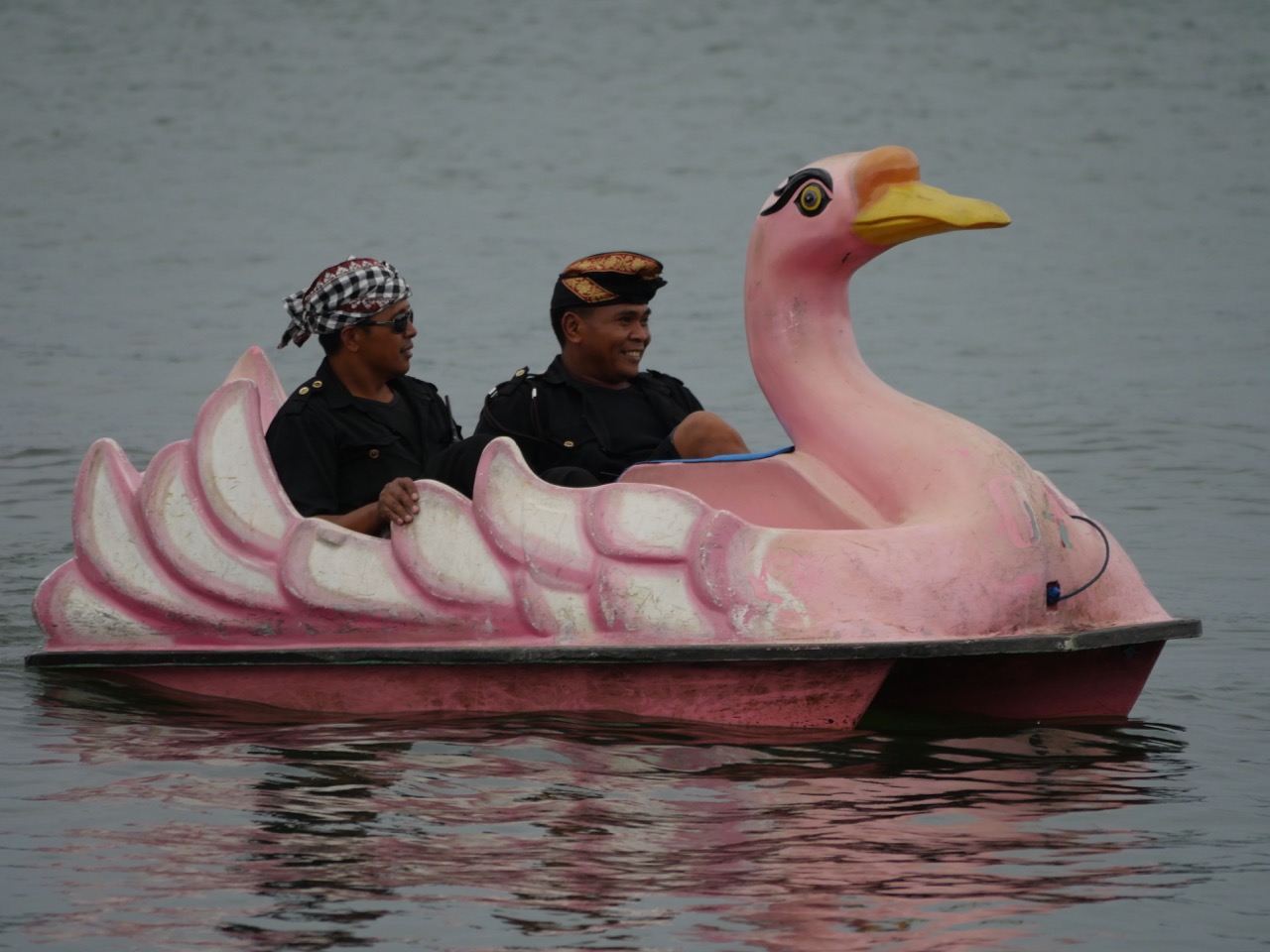 The Fogorellis Go Feral