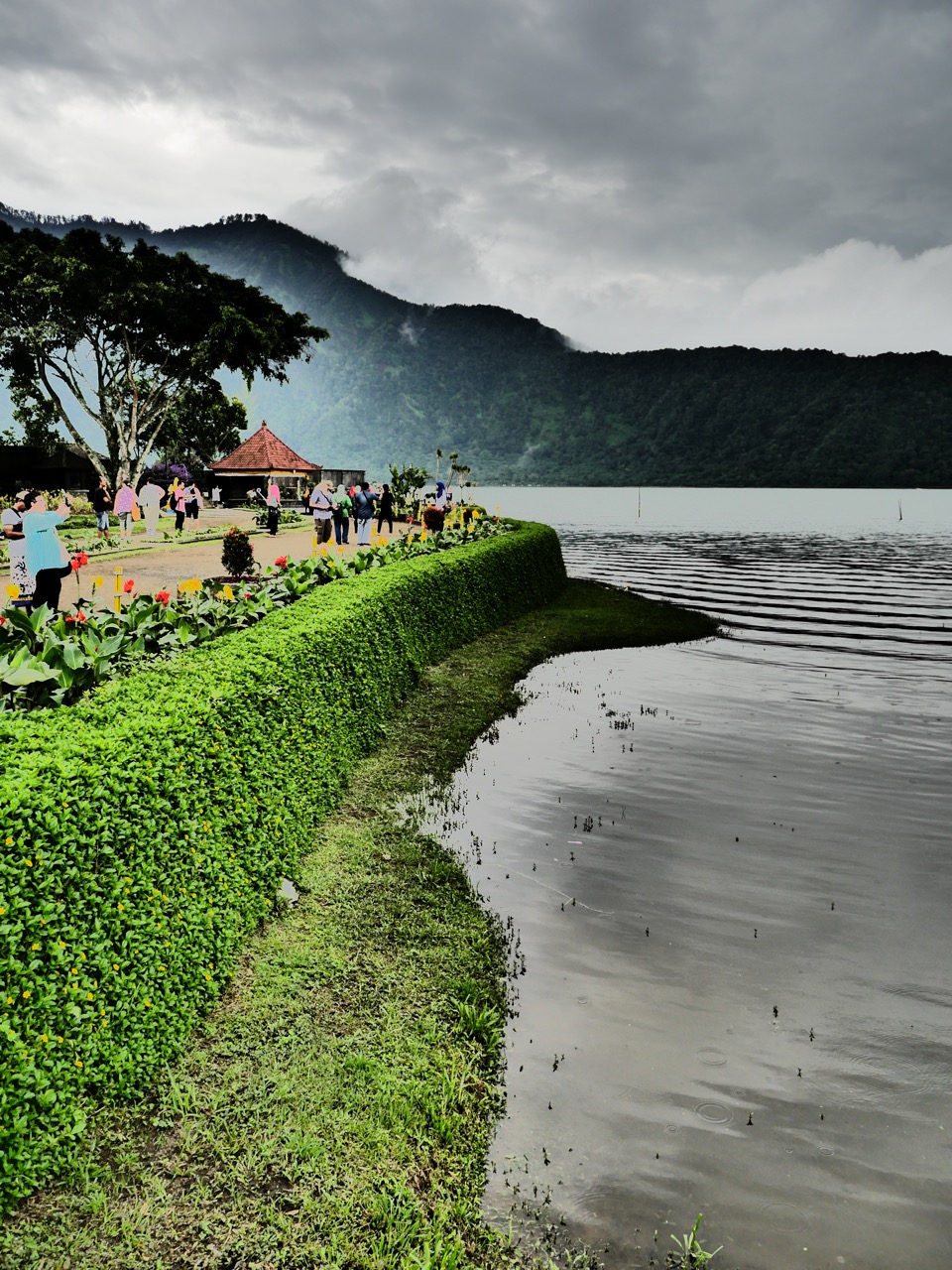 The Fogorellis Go Feral