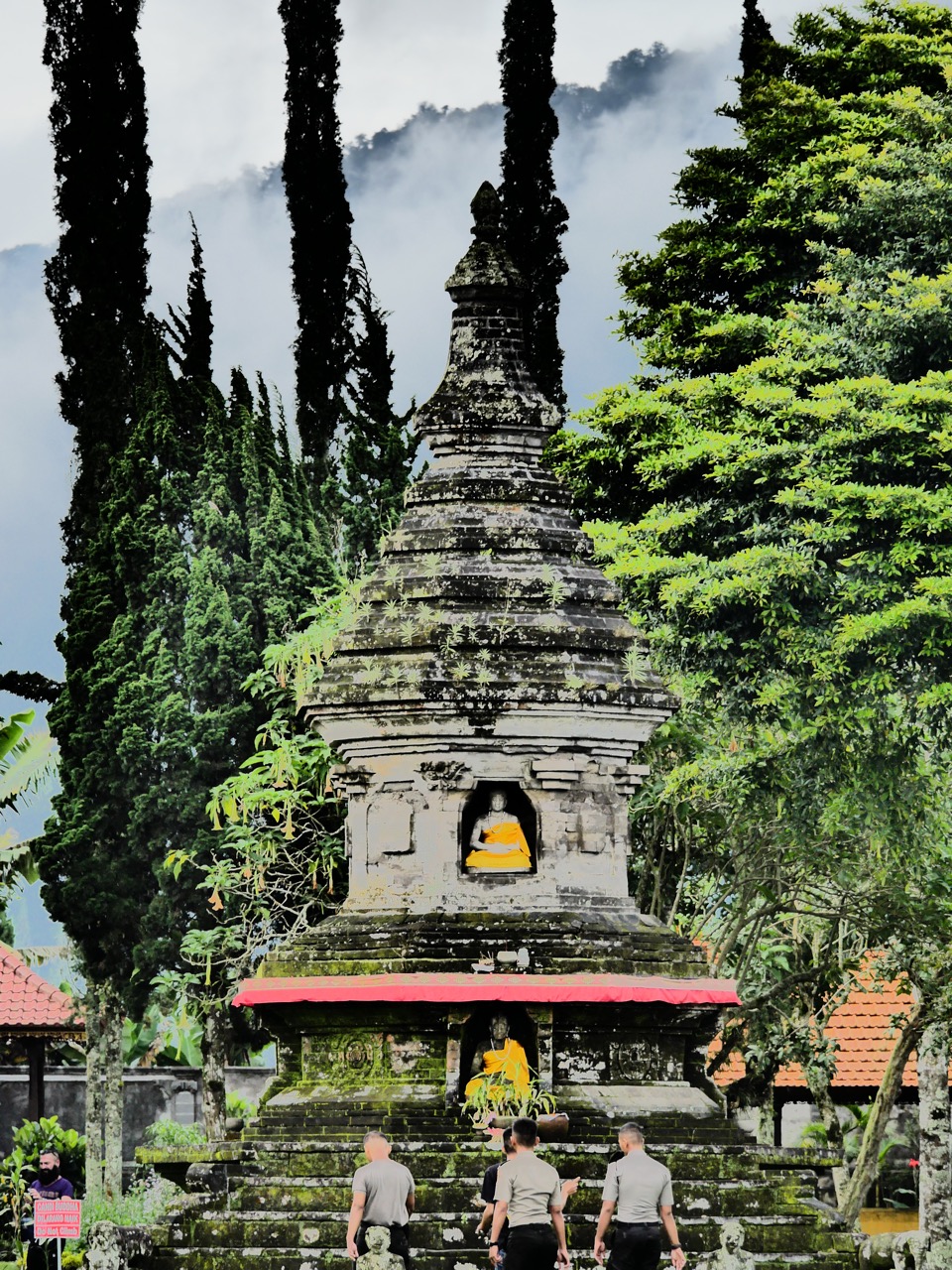 The Fogorellis Go Feral