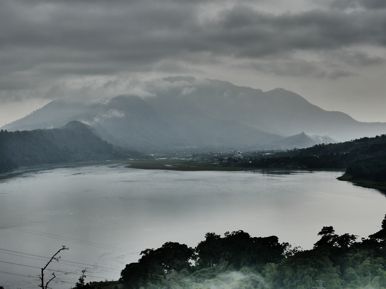 The Fogorellis Go Feral