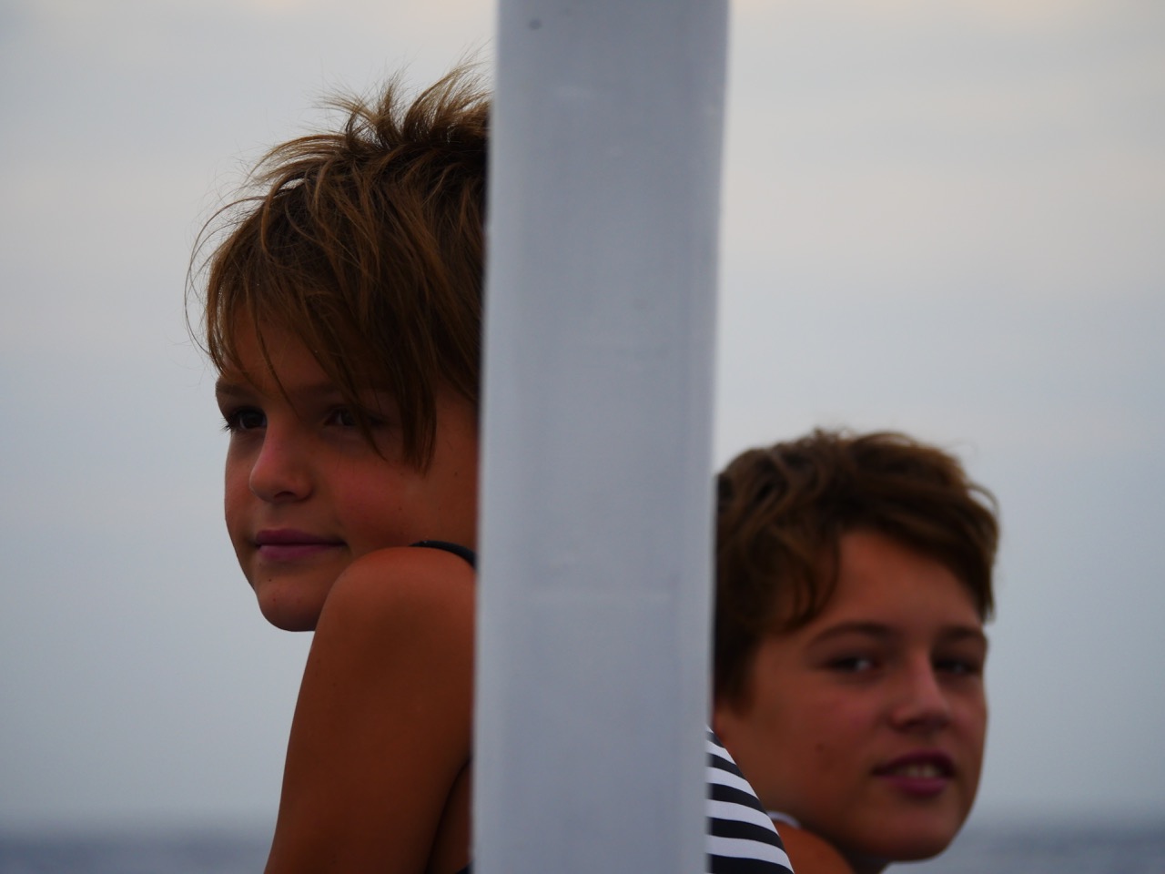 The Fogorellis Go Feral