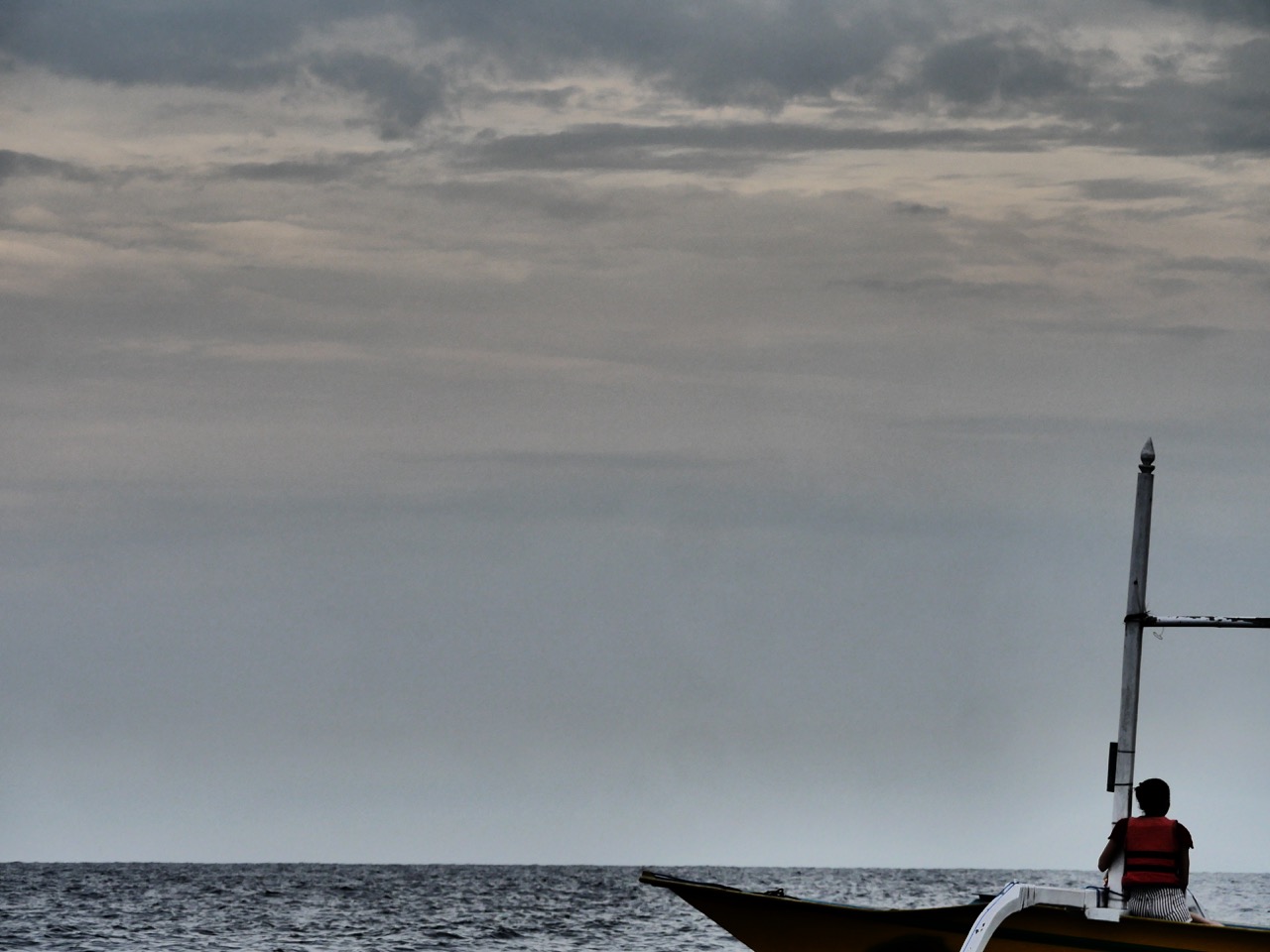 The Fogorellis Go Feral