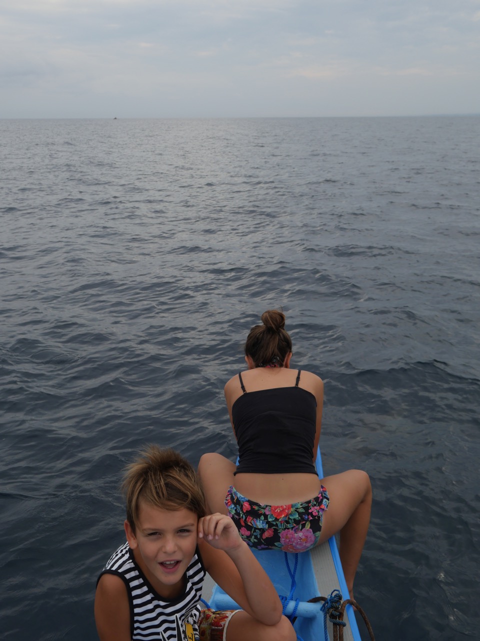 The Fogorellis Go Feral