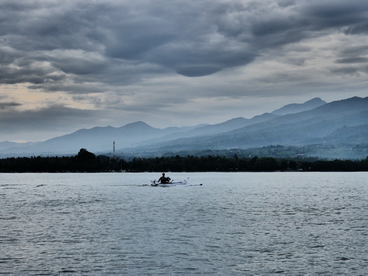 The Fogorellis Go Feral