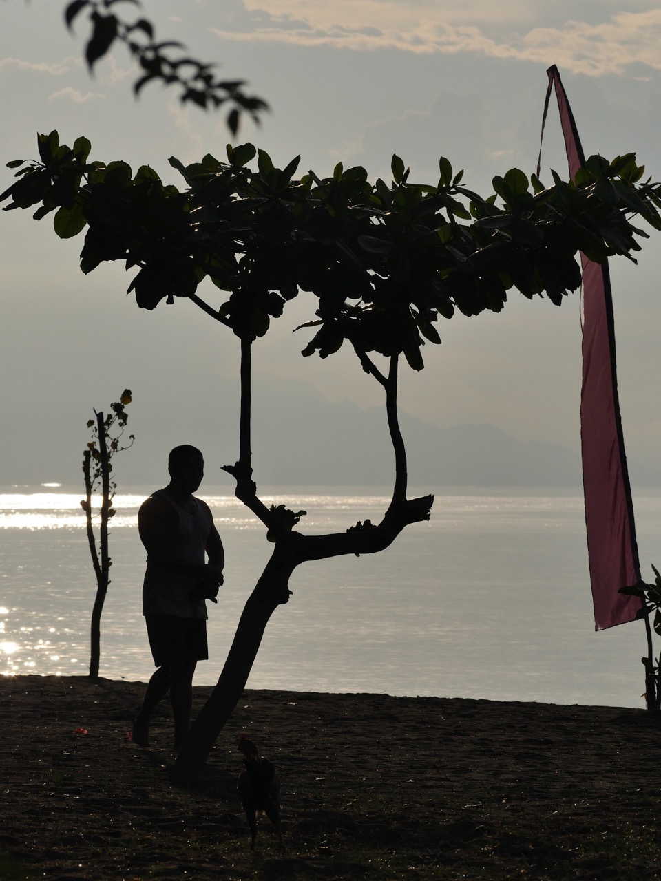 The Fogorellis Go Feral