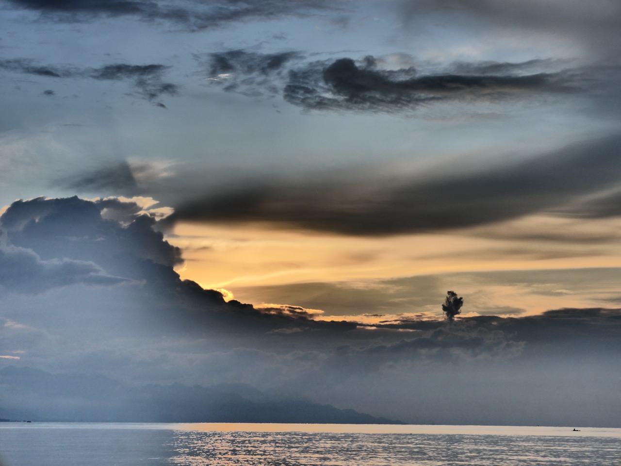 The Fogorellis Go Feral