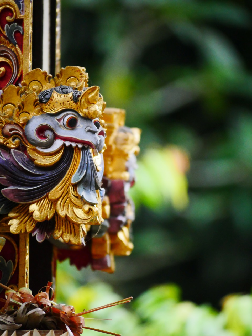 The Fogorellis Go Feral