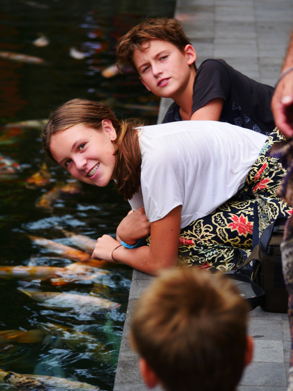 The Fogorellis Go Feral