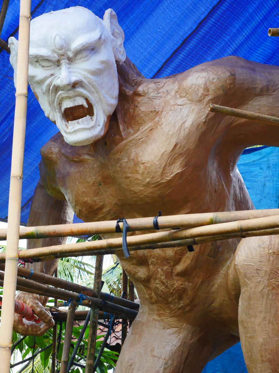 The Fogorellis Go Feral