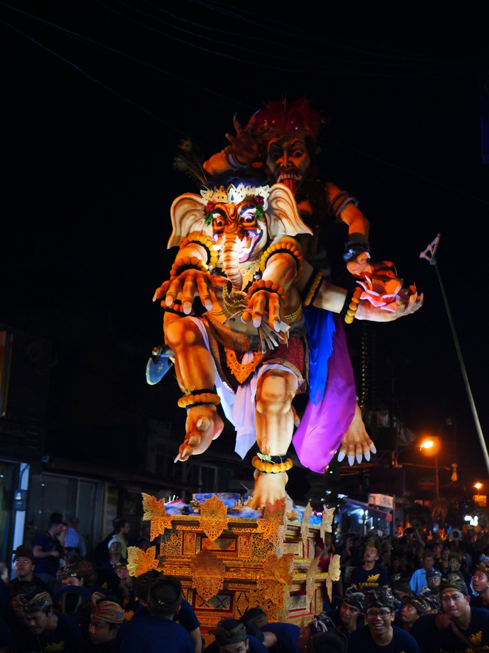 The Fogorellis Go Feral