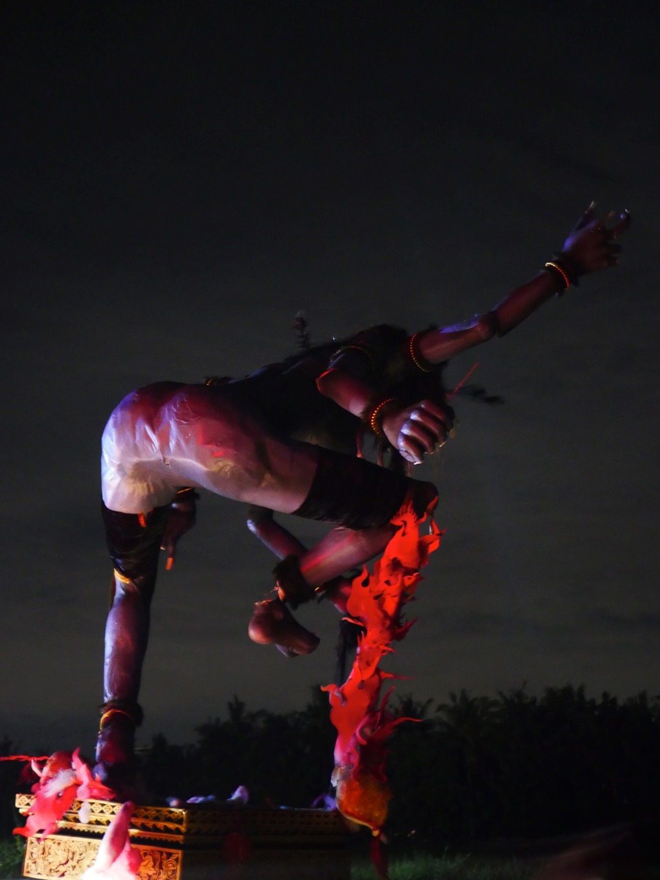 The Fogorellis Go Feral