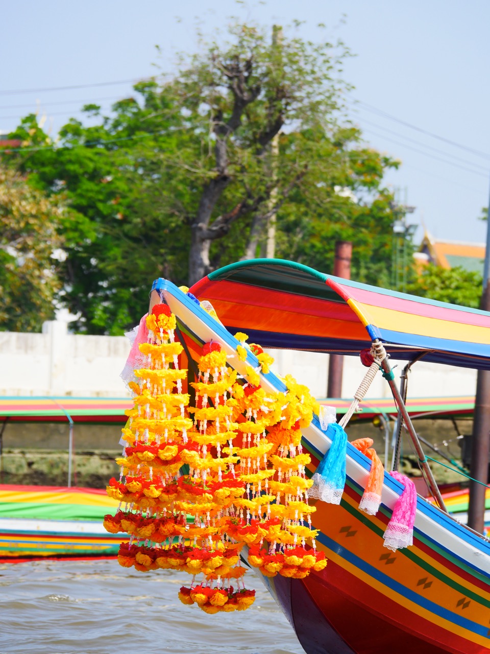 The Fogorellis Go Feral