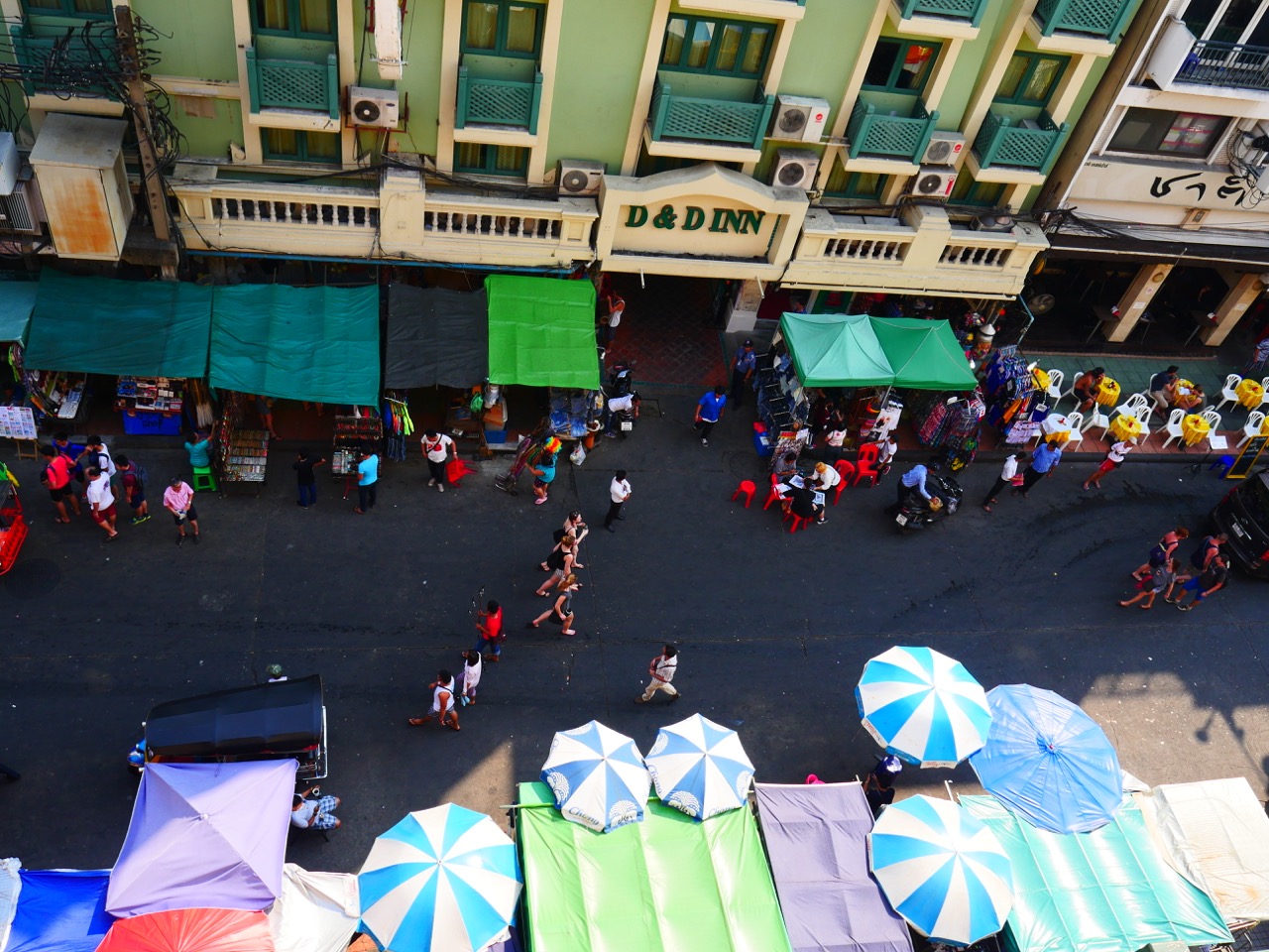 The Fogorellis Go Feral