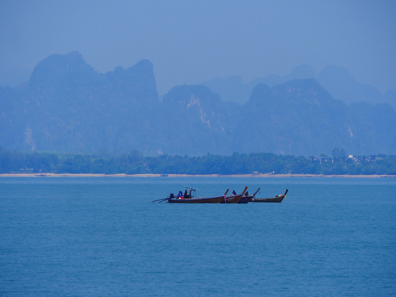 The Fogorellis Go Feral