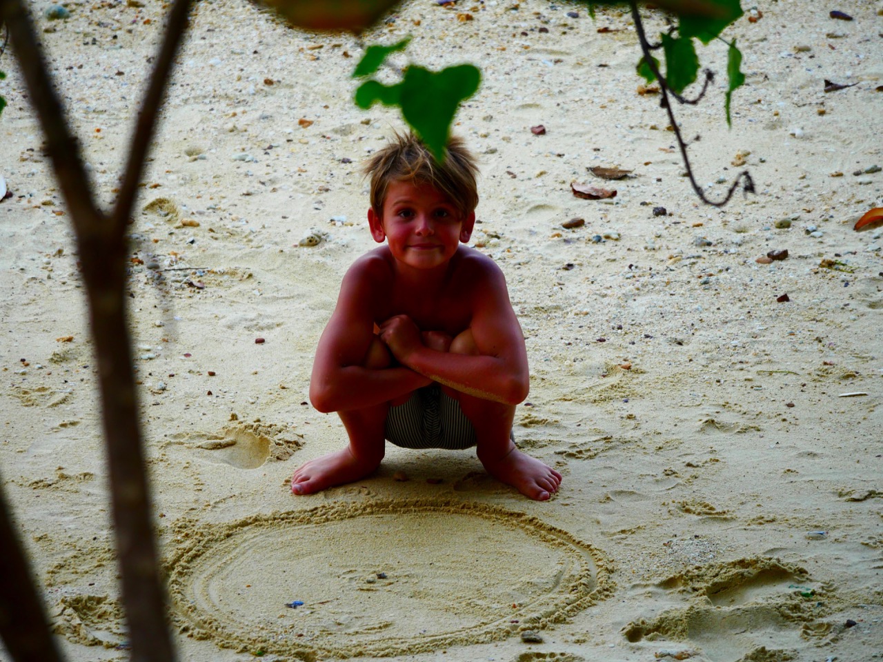 The Fogorellis Go Feral