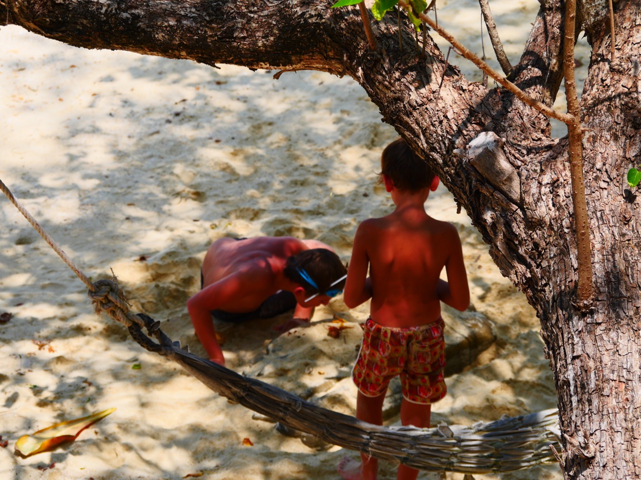 The Fogorellis Go Feral