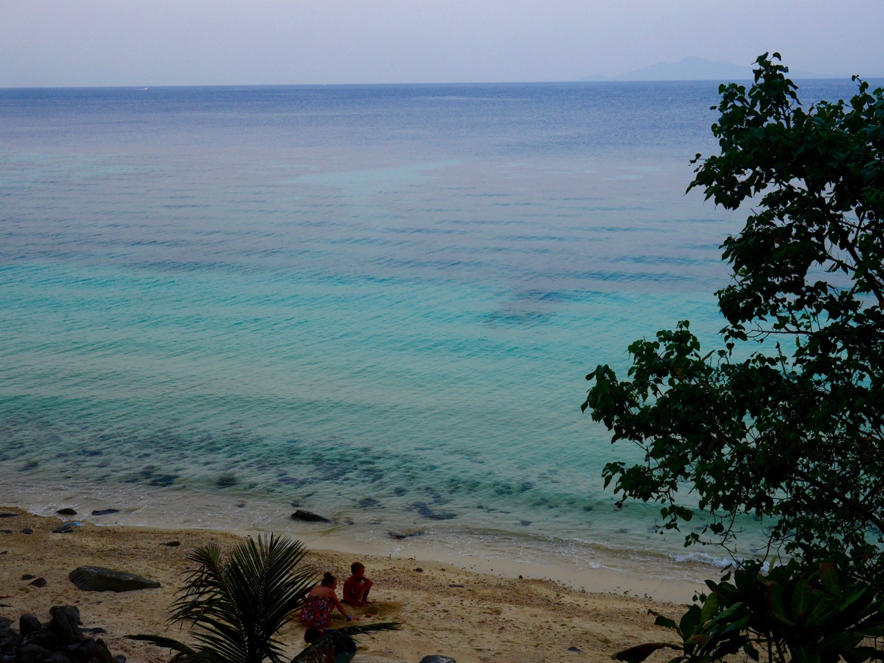 The Fogorellis Go Feral