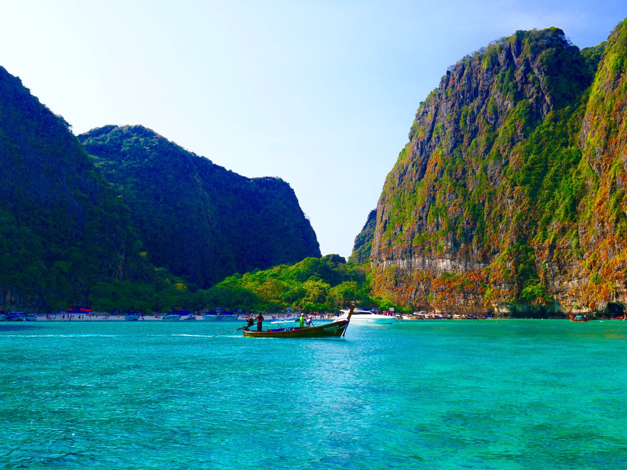 The Fogorellis Go Feral