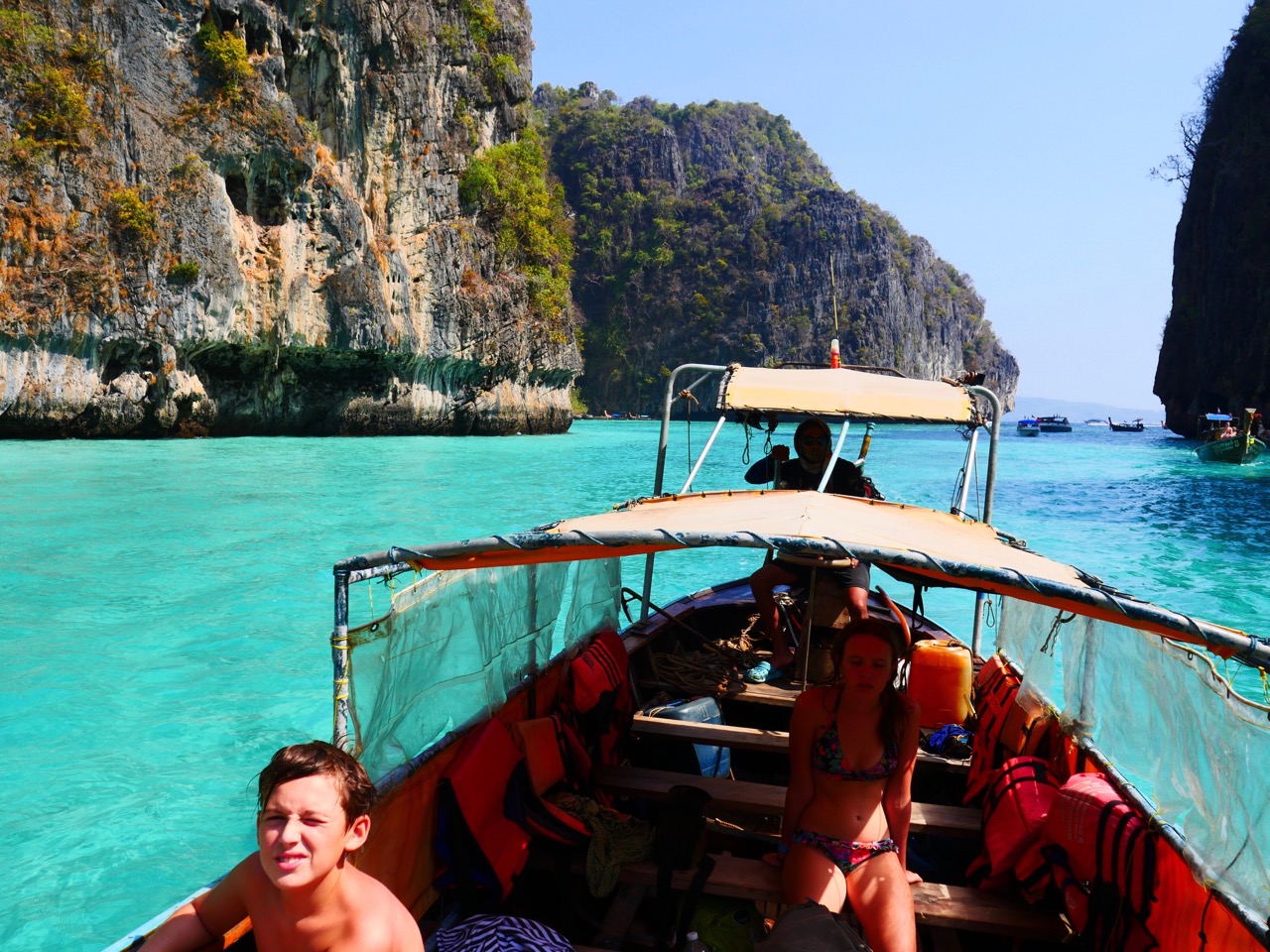 The Fogorellis Go Feral