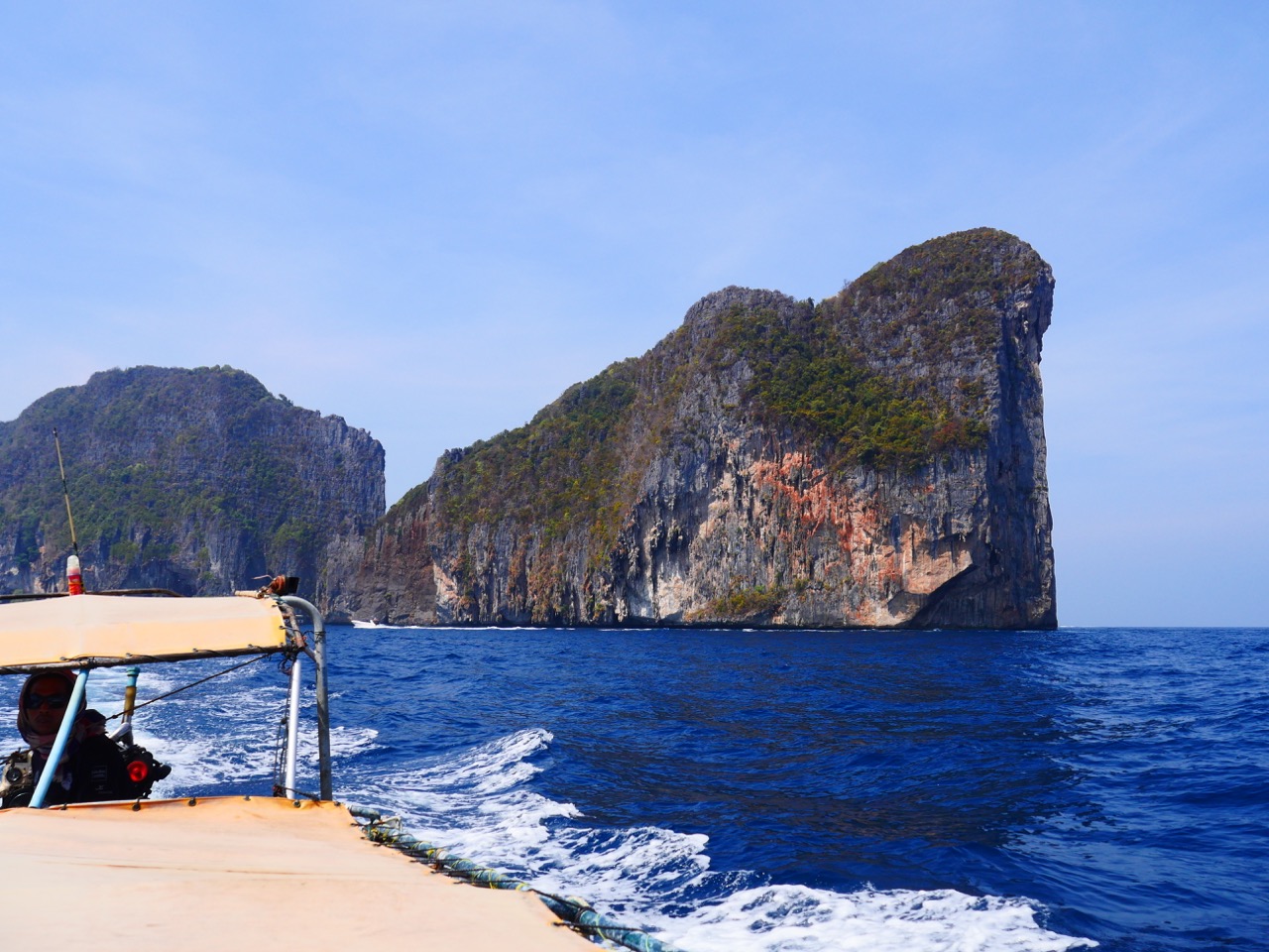 The Fogorellis Go Feral