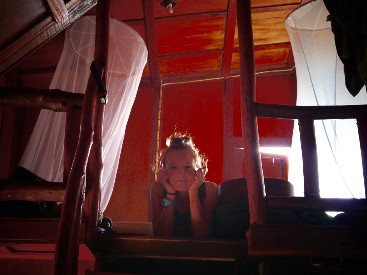 The Fogorellis Go Feral