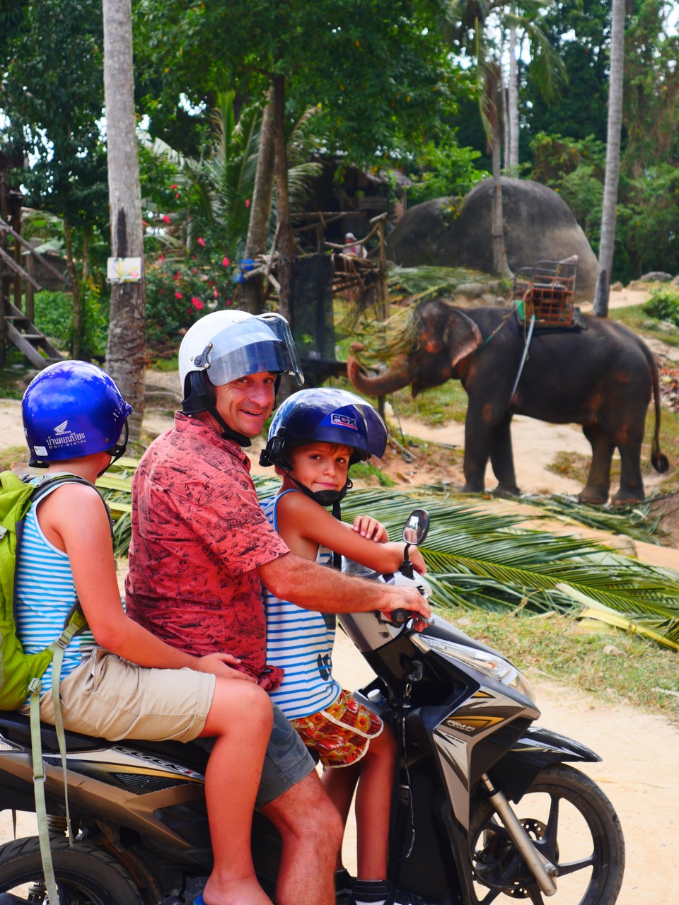 The Fogorellis Go Feral