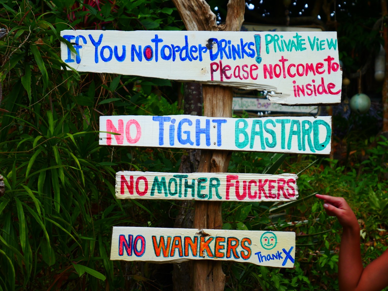 The Fogorellis Go Feral