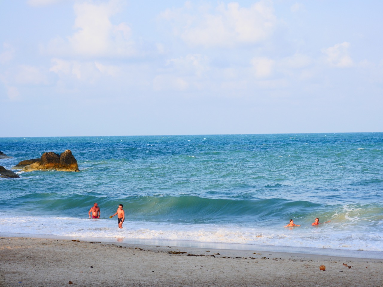 The Fogorellis Go Feral