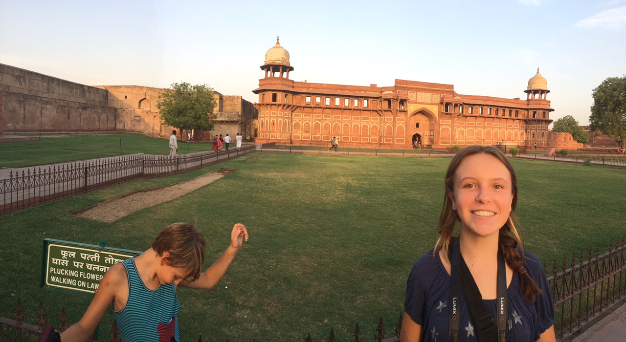 The Fogorellis Go Feral