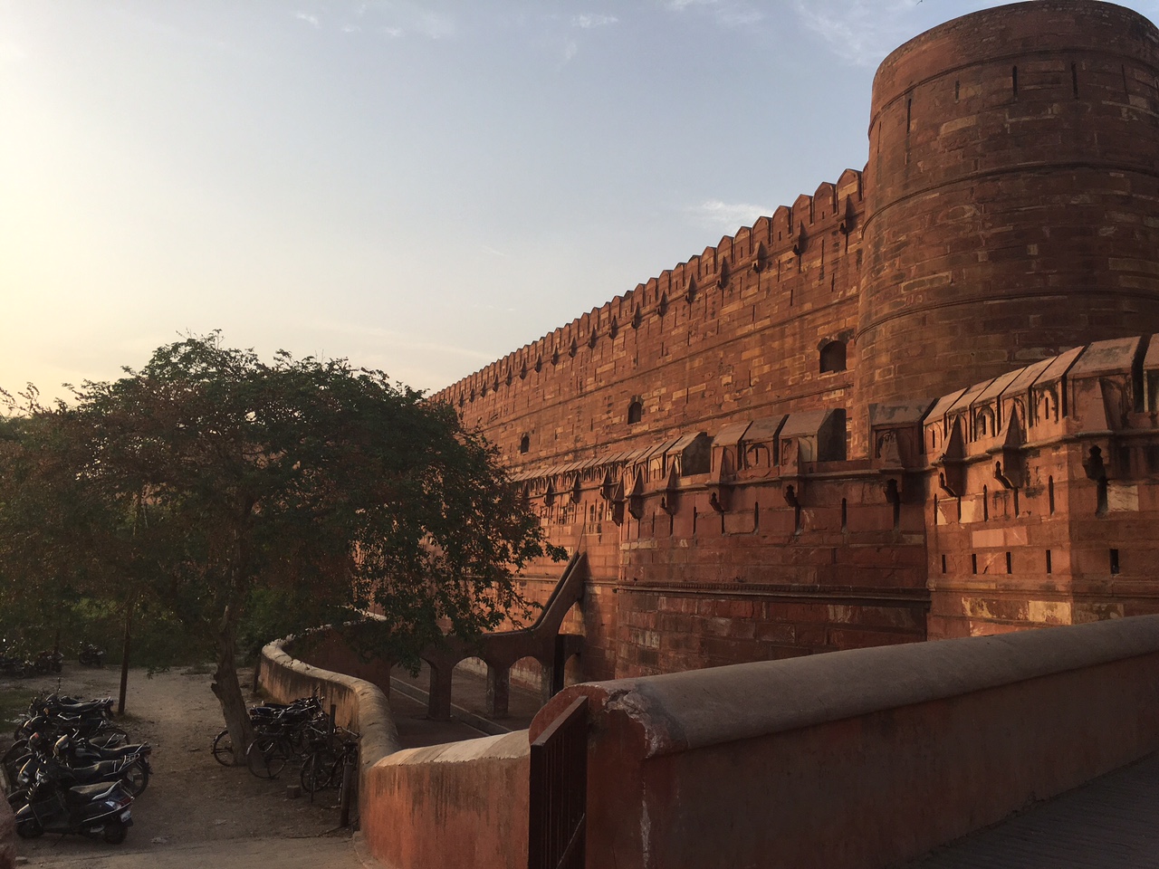 The Fogorellis Go Feral