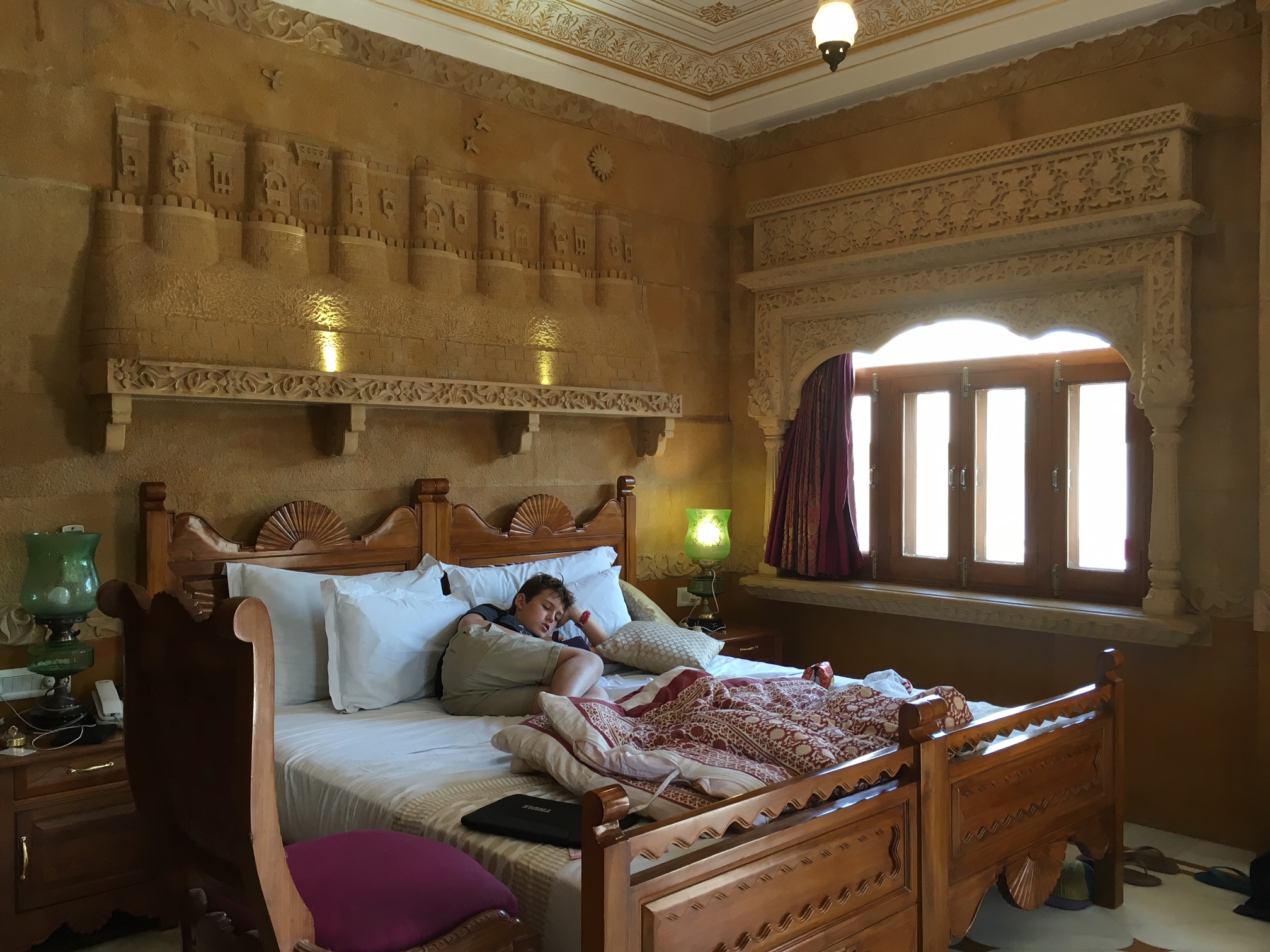 The Fogorellis Go Feral