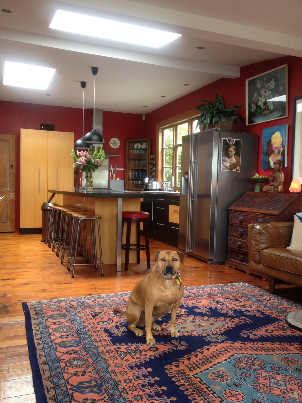 The Fogorellis Go Feral