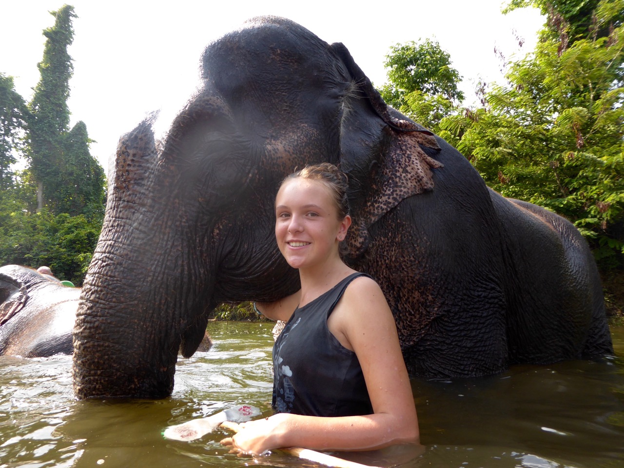 The Fogorellis Go Feral