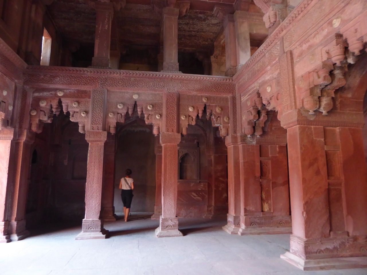 The Fogorellis Go Feral